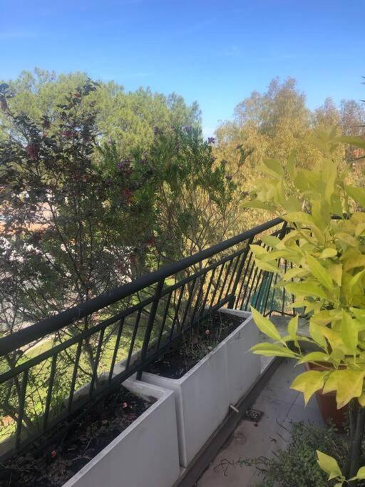 Вілла Casa Incantevole Con Vista Parco Appia Antica Рим Екстер'єр фото